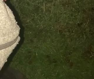 Thumbnail of Pissed on the lawn with pressure