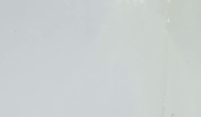 I just piss into the bathtub...