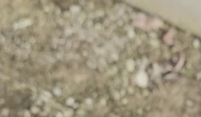 For golden shower fans :)