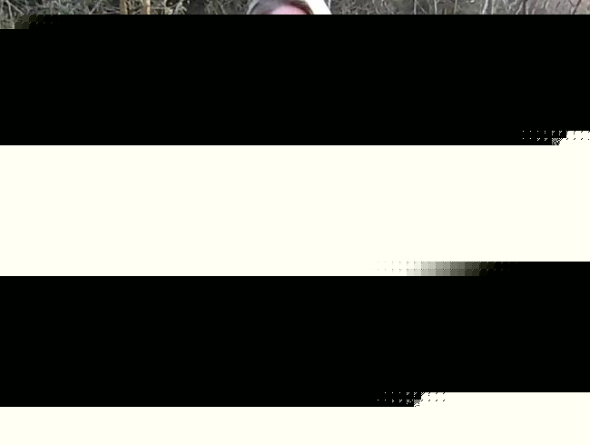 Pissed on while walking!!!!!