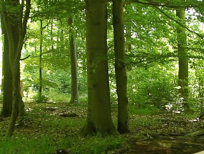 Naked walk in the forest with NS