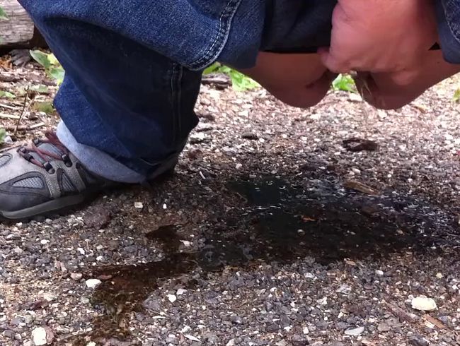 Thumbnail of PiPi with Bach