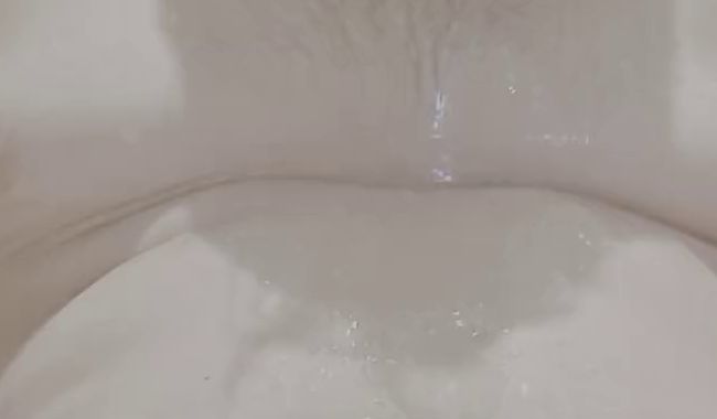 Thumbnail of NS in the Dische