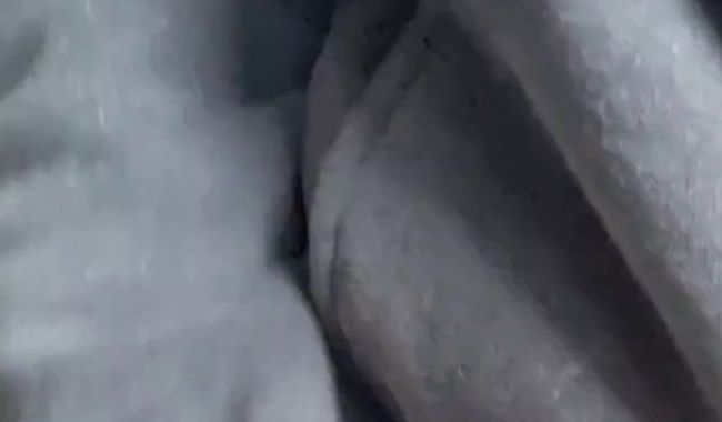 Thumbnail of Golden shower and fingering