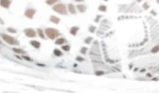 Thumbnail of Pissed in panties No. 2