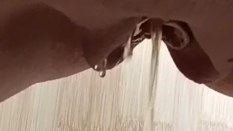 Thumbnail of Quick piss!!! My pussy is leaking.