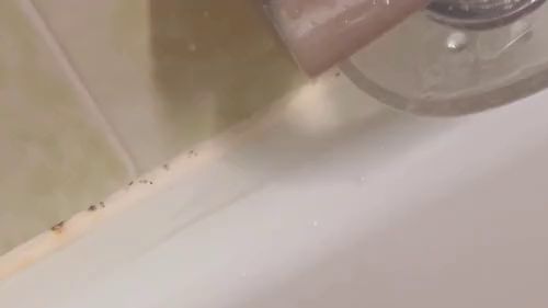 Thumbnail of I let myself get pissed on completely